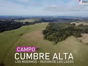 Campo Cumbre Alta