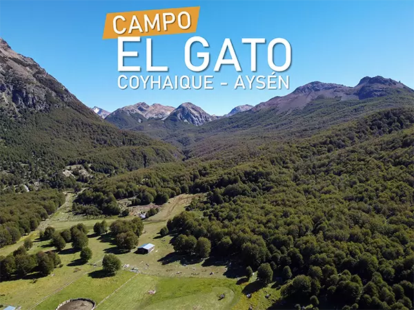 Campo El Gato