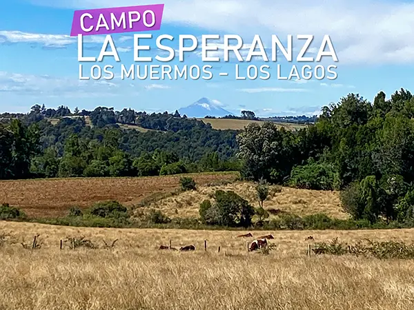 Campo La Esperanza