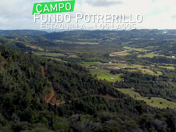 Campo Fundo Potrerillo Produncan