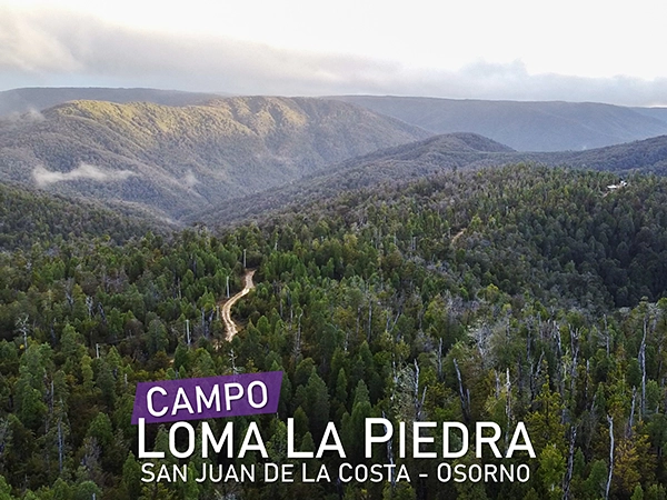 Campo Loma La Piedra Produncan