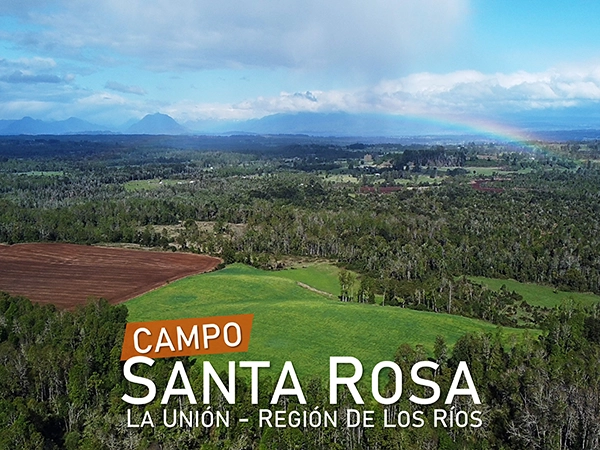 Campo Santa Rosa