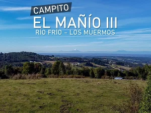 Campito El Mañio III