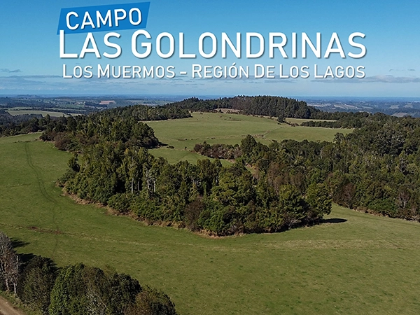 Campo Las Golondrinas