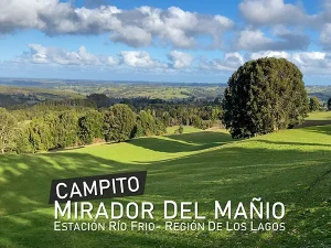 Campito Mirador del Mañío