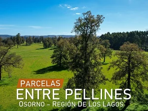 Parcelas Entre Pellines